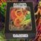 Old School Essentials: D&D mis en boîte sur Ulule