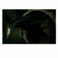 Alien, le jeu de rôle: Écran de Jeu (Supplément Alien)