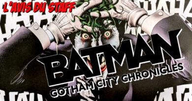 Batman Gotham City Chronicles, édition Skyline: l'avis de Julien