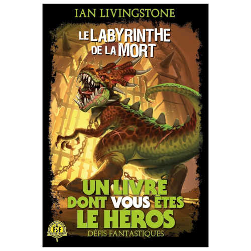 Le Labyrinthe de la Mort (Défis Fantastiques #6)
